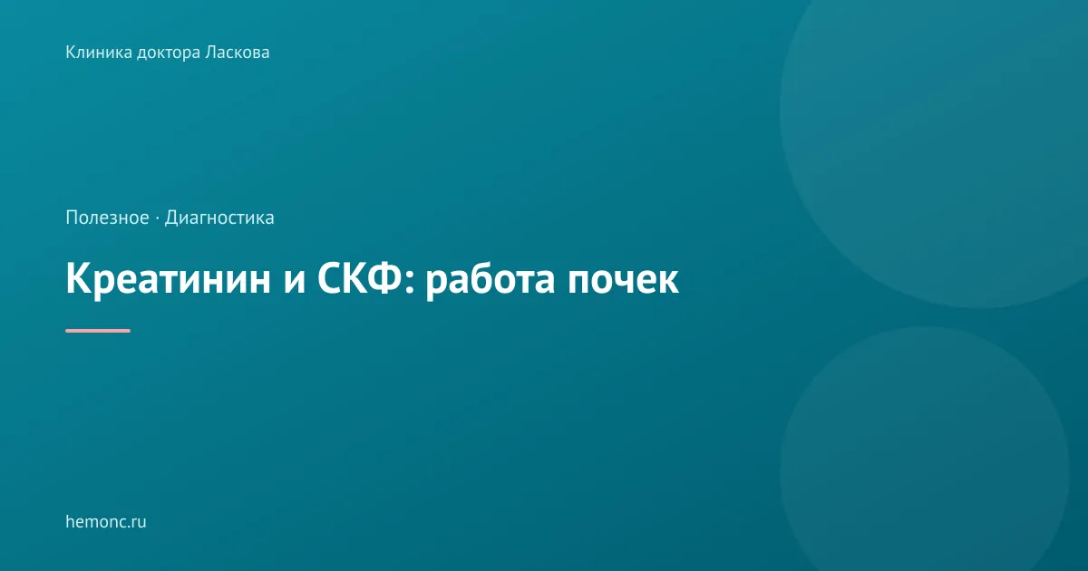 Креатинин и СКФ: как по анализам понять, как работают почки?